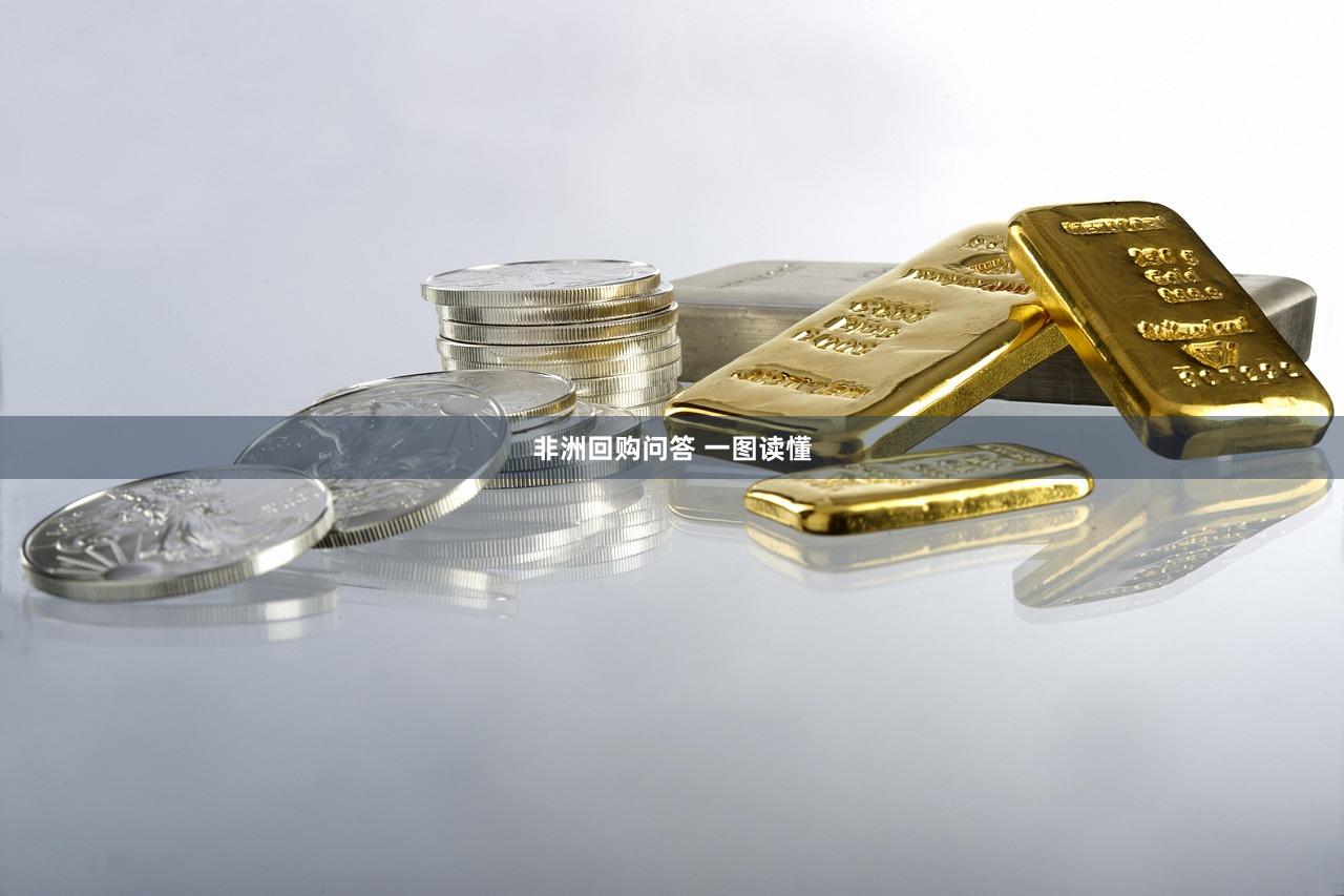 非洲回购问答 一图读懂